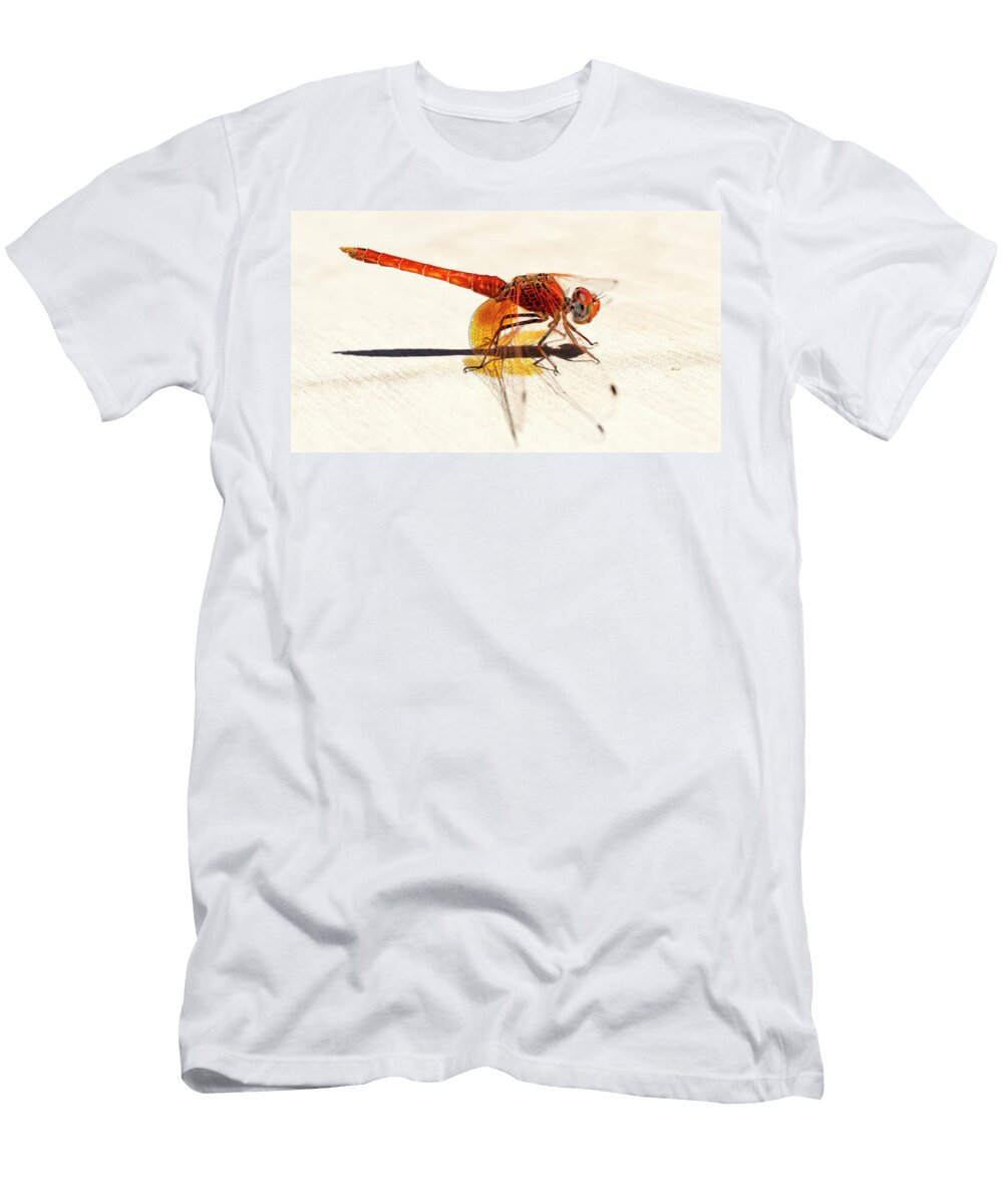 Red Dragonfly 03 Weston Westmoreland T-Shirt