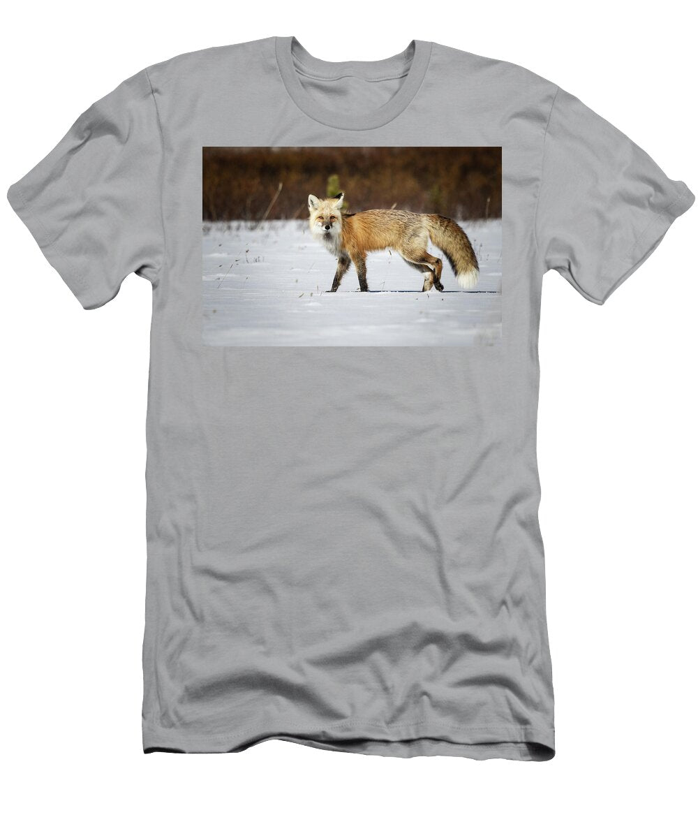 Red Fox Julie Argyle T-Shirt