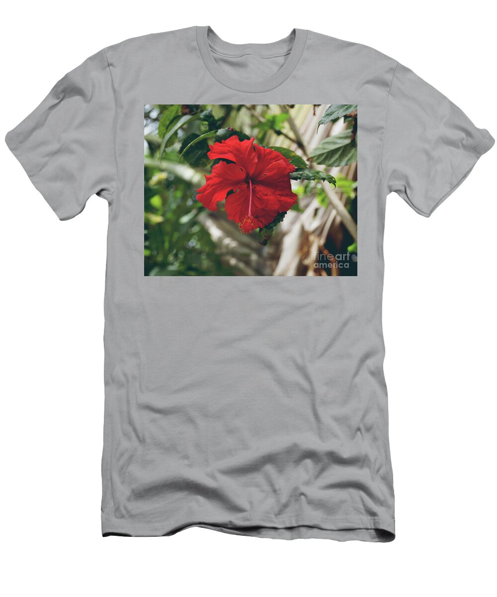 Red Hibiscus Cassandra Buckley T-Shirt
