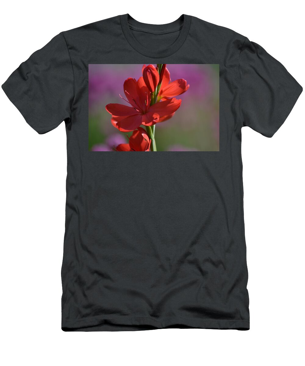 Red on Pink Karen Warner T-Shirt