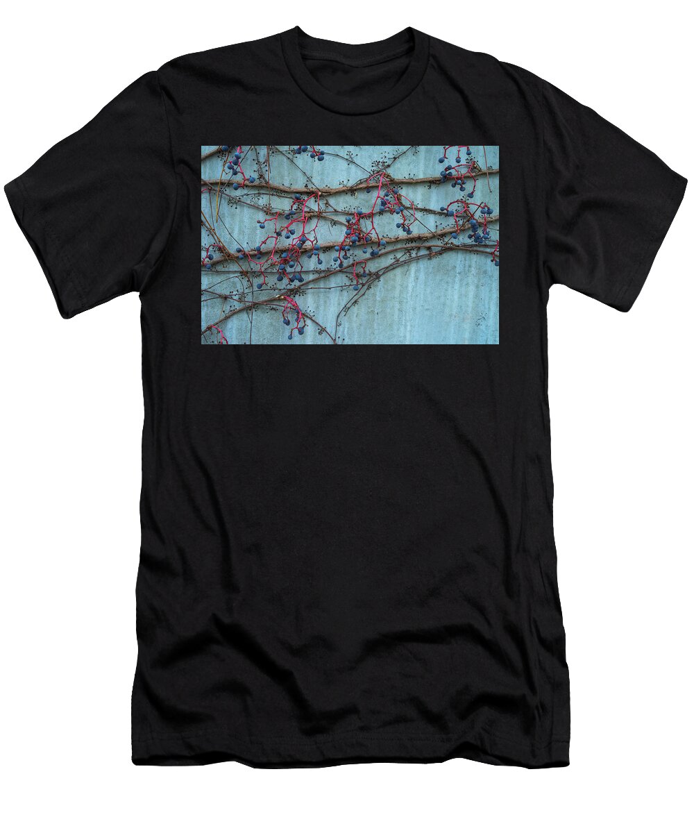 Red Stems and Blue Berries Jason Doss T-Shirt