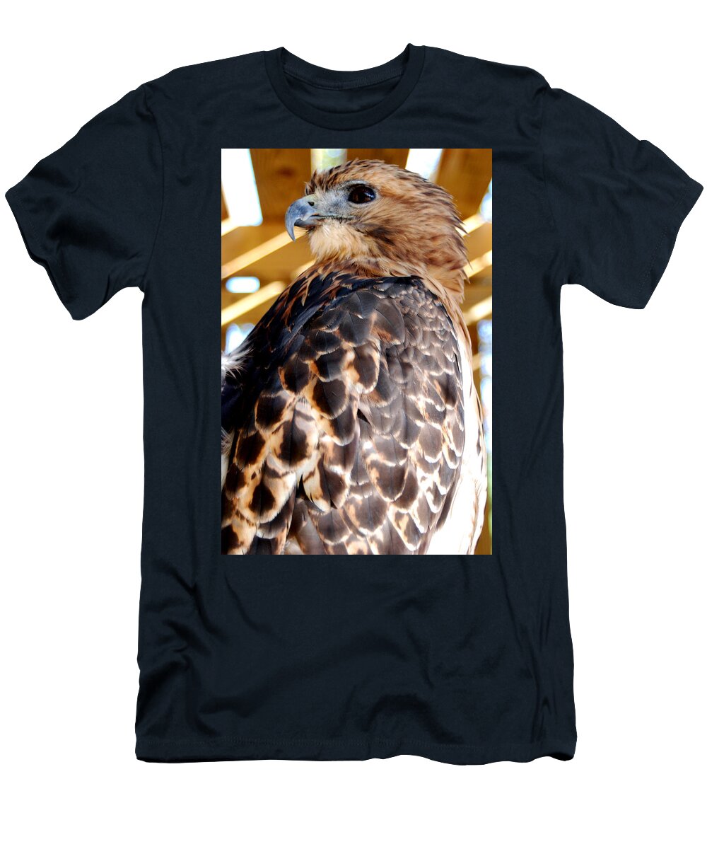 Red Tailed Hawk Michael P Ray T-Shirt
