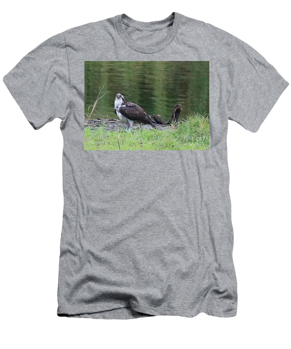 Regal Osprey Carol Groenen T-Shirt