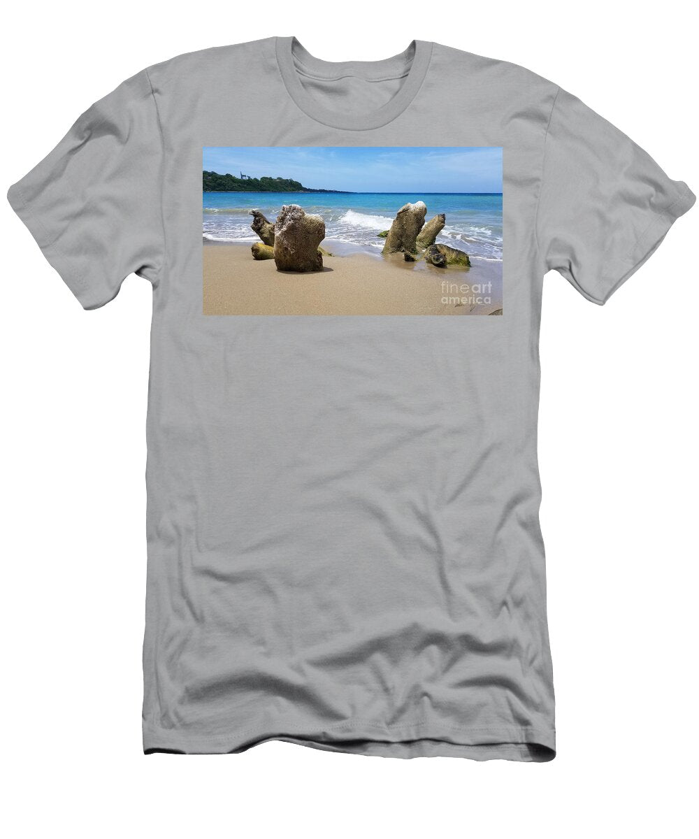 Remnants 1 Aldane Wynter T-Shirt