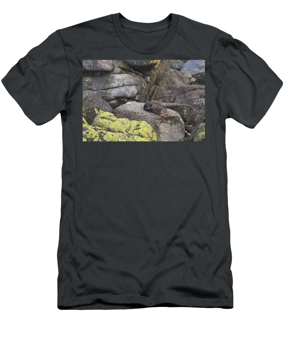 Resting Seal Stuart Litoff T-Shirt