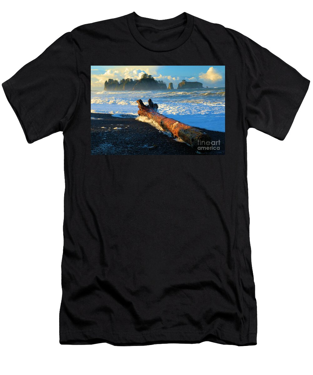 Rialto Beach Drift Log Adam Jewell T-Shirt