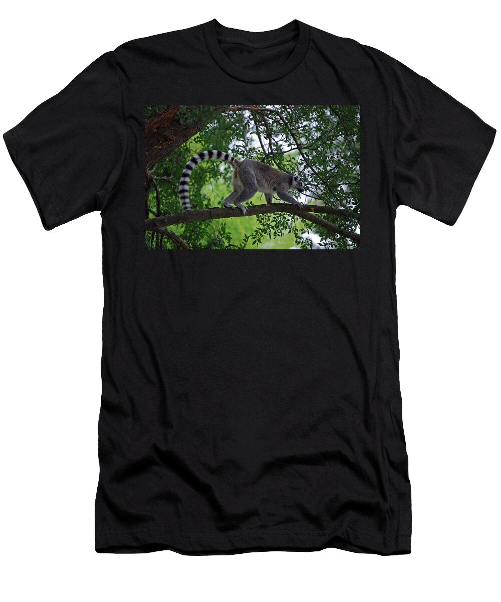 Ring Tail Above Skip Willits T-Shirt
