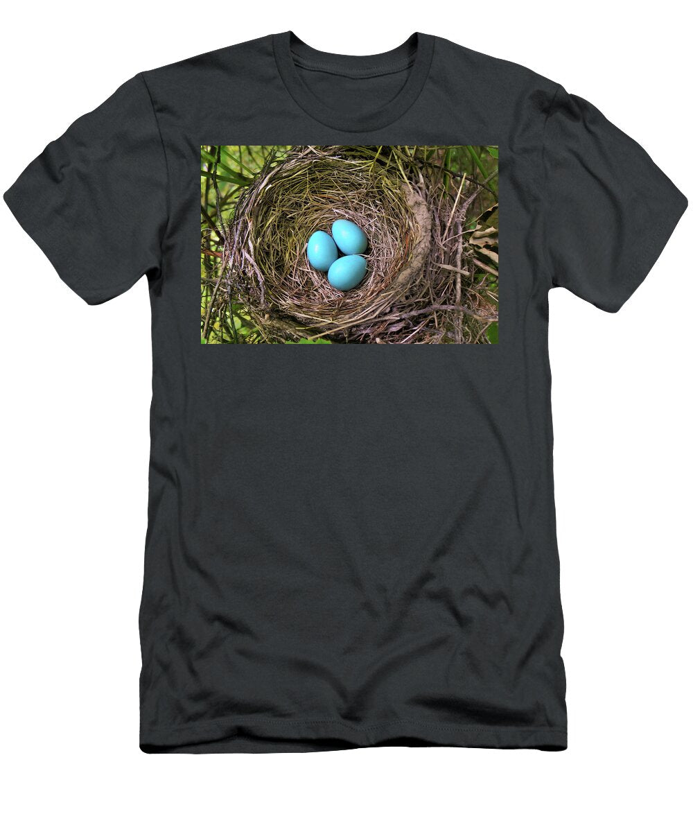 Robins Nest with Eggs Christina Rollo T-Shirt