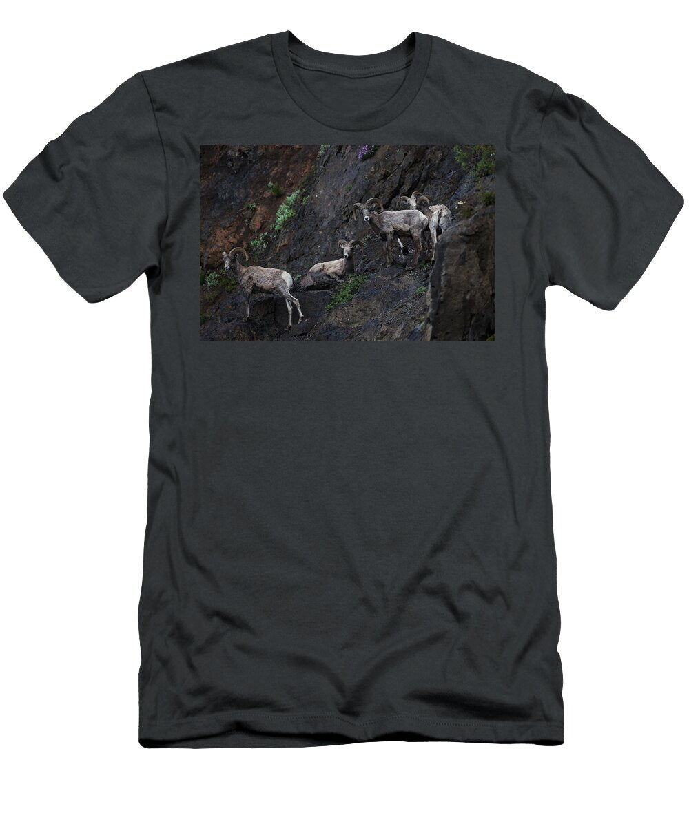 Rocky Rams Julie Argyle T-Shirt