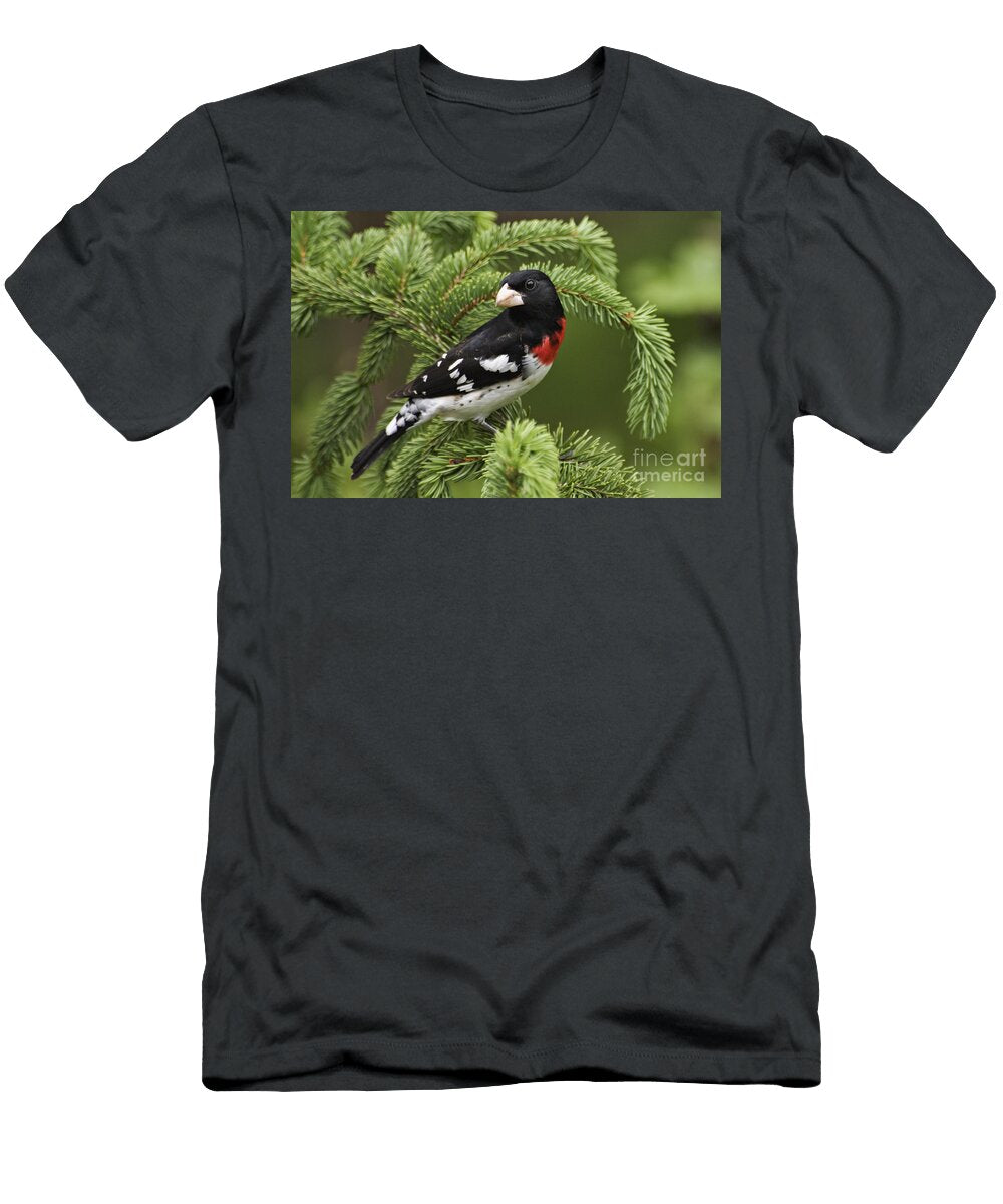 Rose Breasted Grosbeak D002769 Daniel Dempster T-Shirt