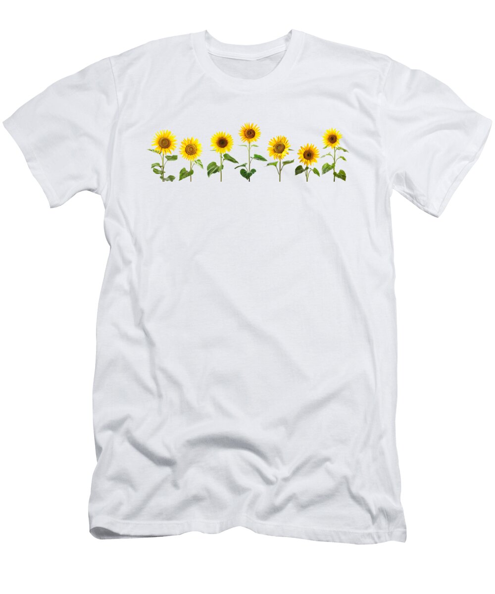 Row of Sunflowers on White Backgrouns Delphimages Photo Creations T-Shirt