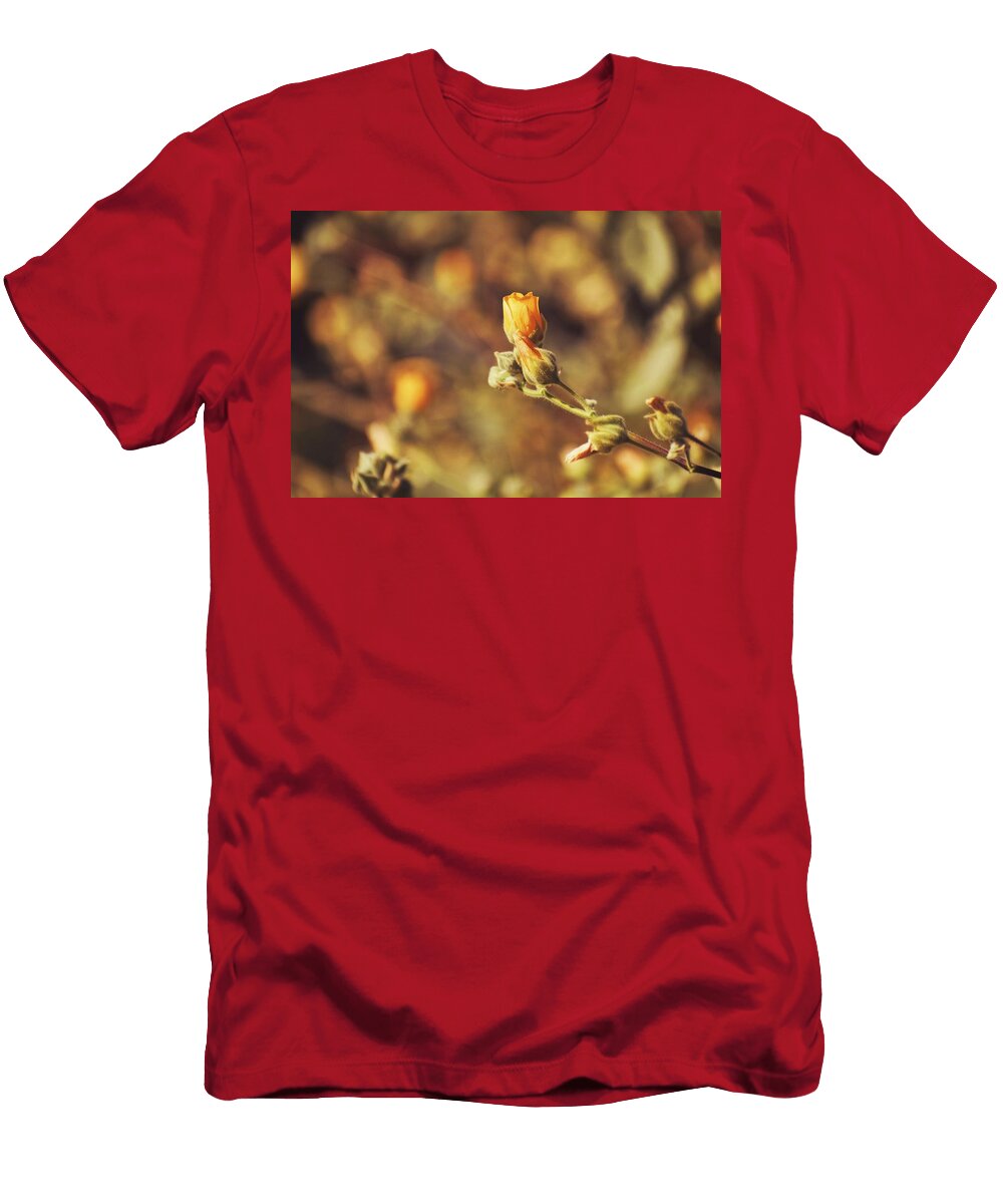 Rustic Sunshine Sarah Kirby T-Shirt