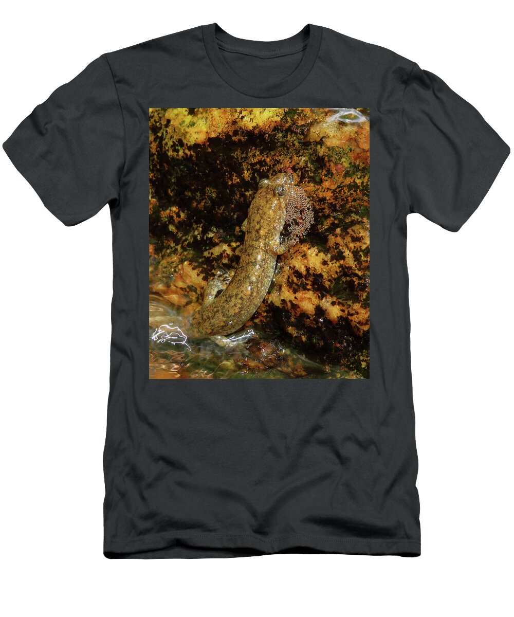 Salamander Clutch Joshua Bales T-Shirt
