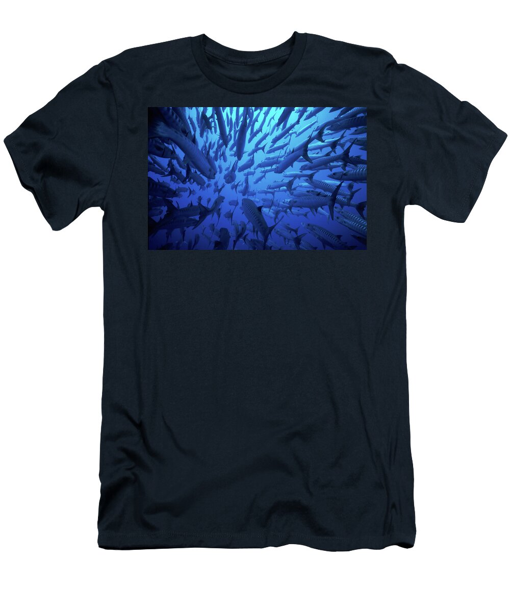 School of Chevron Barracuda Sphyraena Animal Images T-Shirt