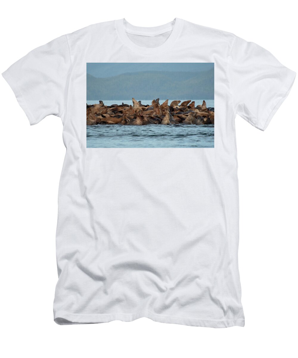Sea Lions Gathering in Ocean Waters David Kirby T-Shirt