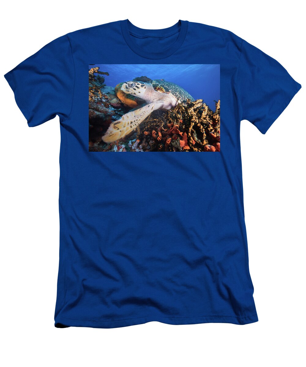 Sea Turtle in Vibrant Coral Reef Mario Chow T-Shirt