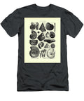 Seashell Collection in Black and White Madame Memento T-Shirt