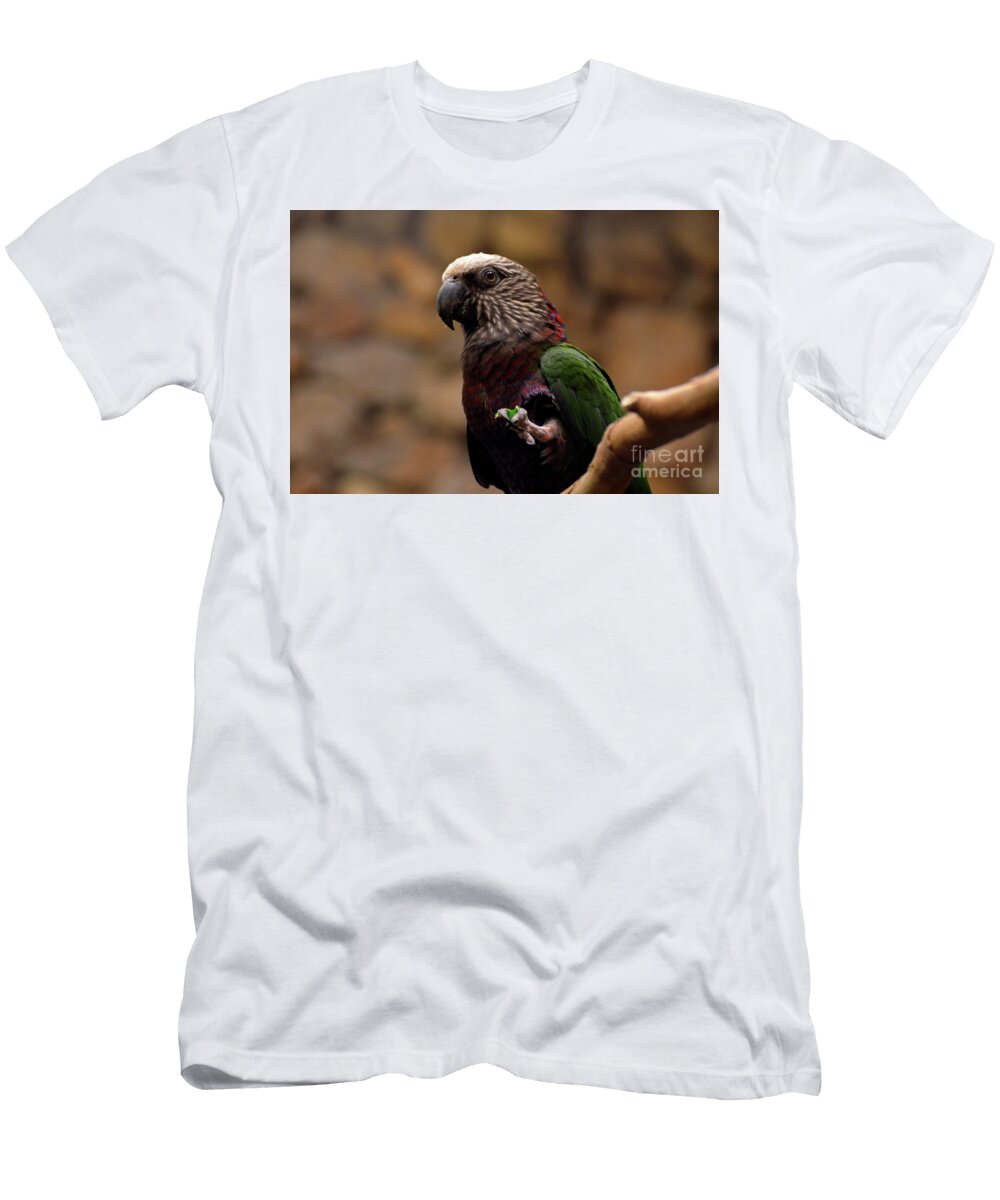 Seed Clutched in the Foot of a Hawk Headed Parrot Dejavu Designs T-Shirt