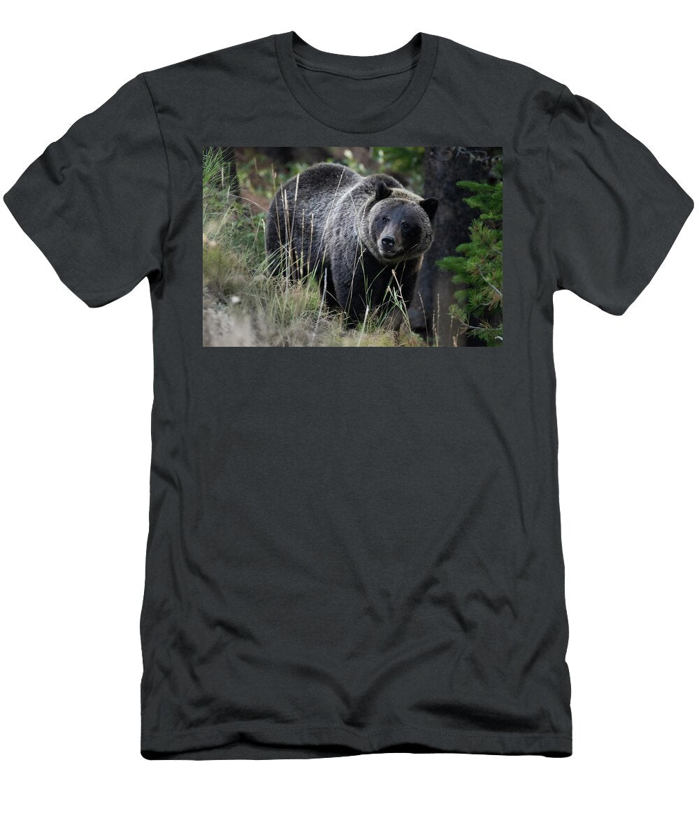 September Morning Julie Argyle T-Shirt