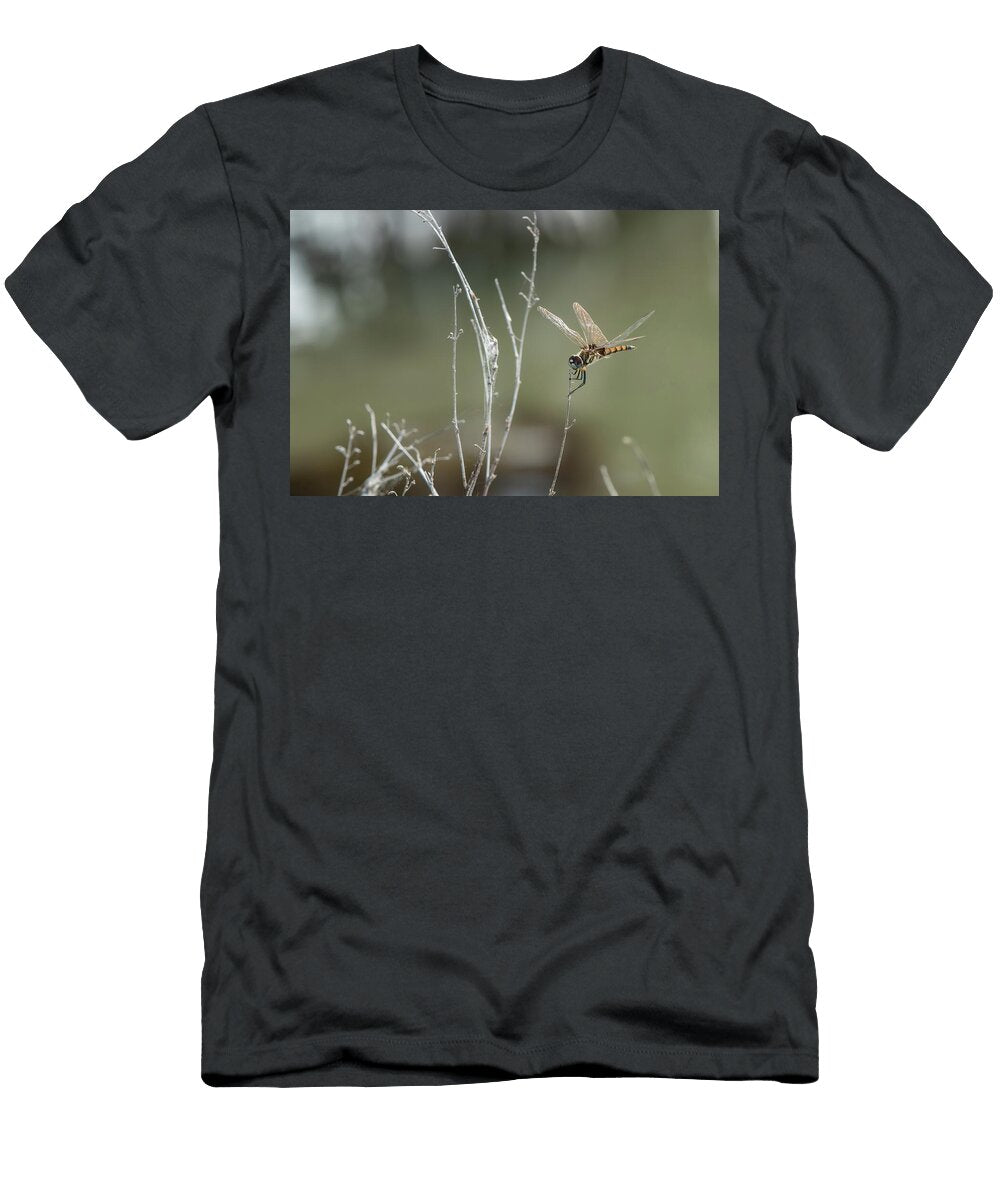 Serving Wings and Bad Decisions Chris Shaw T-Shirt