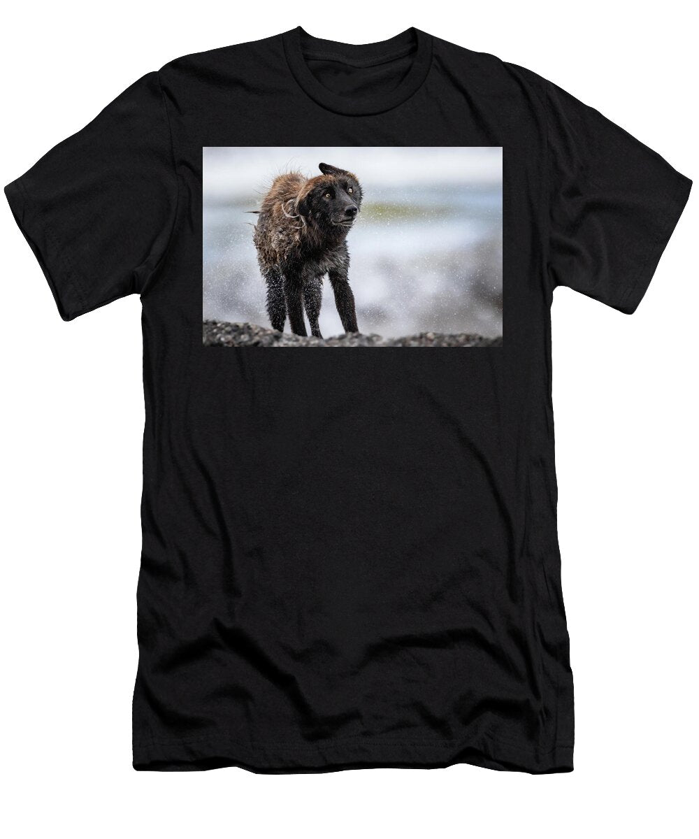 Shake It Off Julie Argyle T-Shirt
