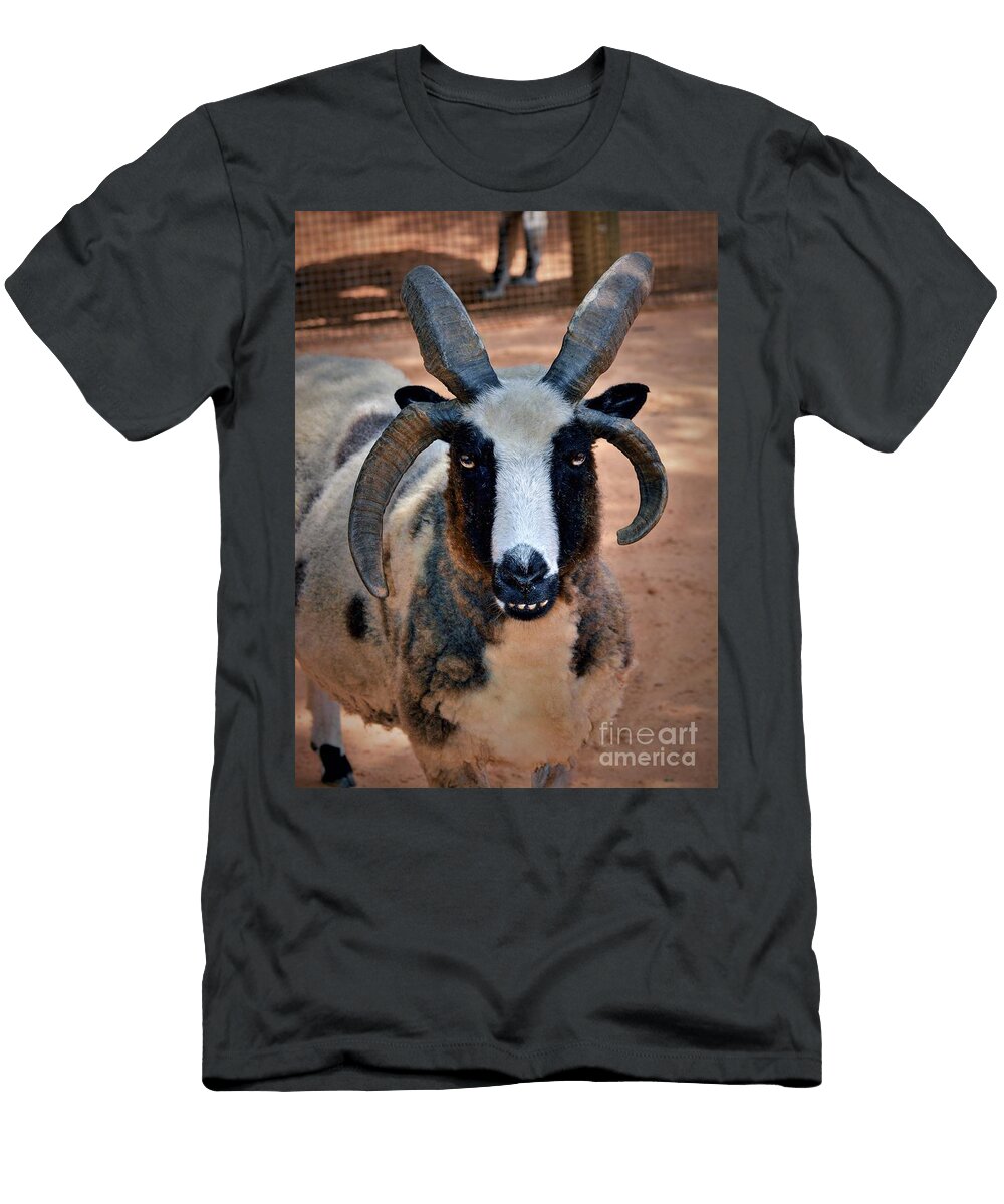 Sheep Savannah Gibbs T-Shirt