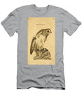 Short Eared Owl Philip Ralley T-Shirt