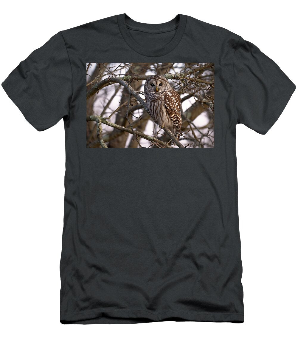 Silence in a Tree Nick Kalathas Natures Moments T-Shirt