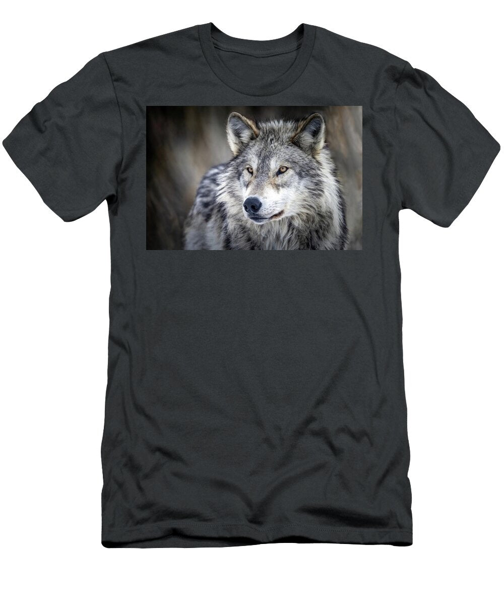 Simple Beauty Julie Argyle T-Shirt