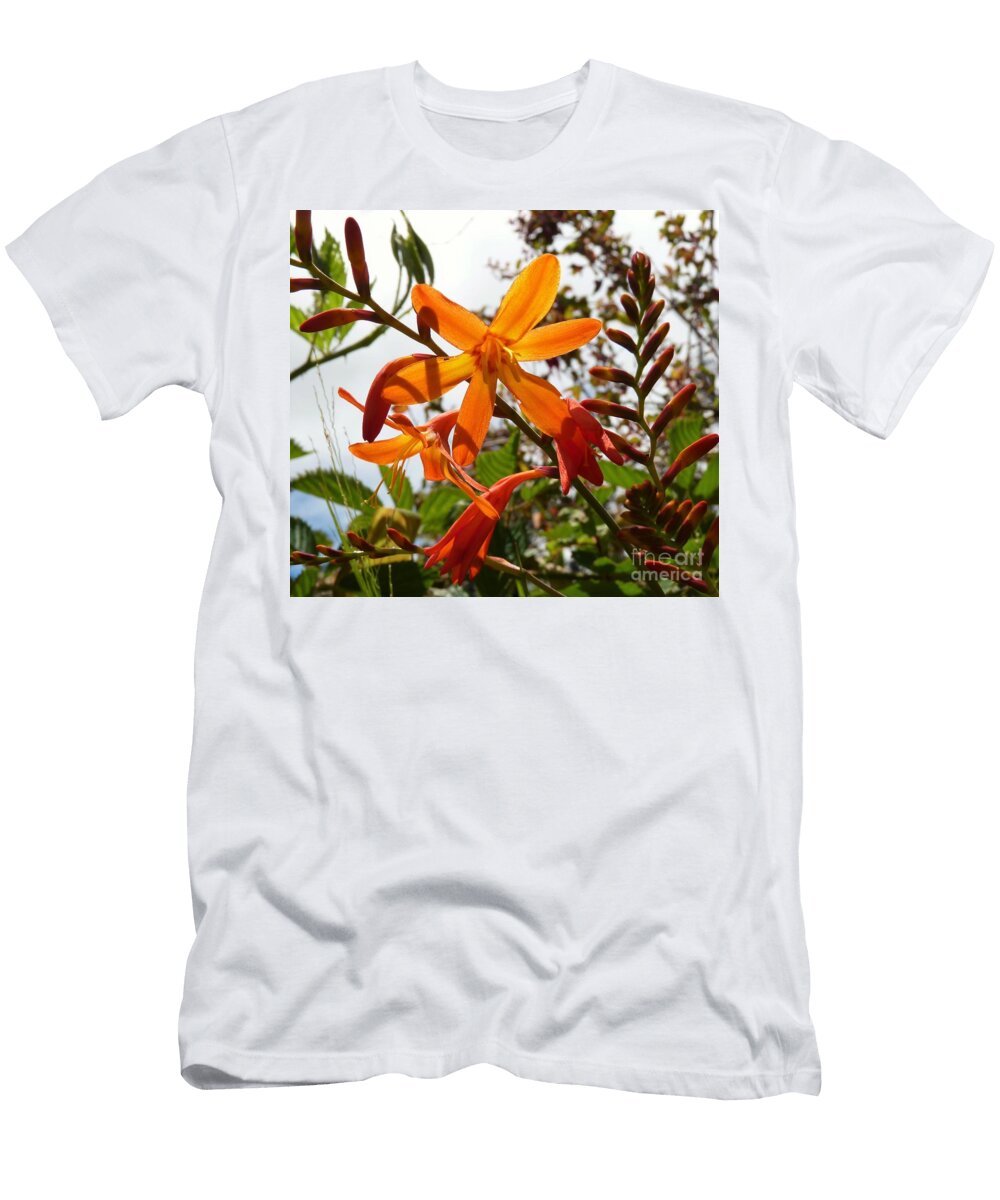 Sing Cat Pancake T-Shirt