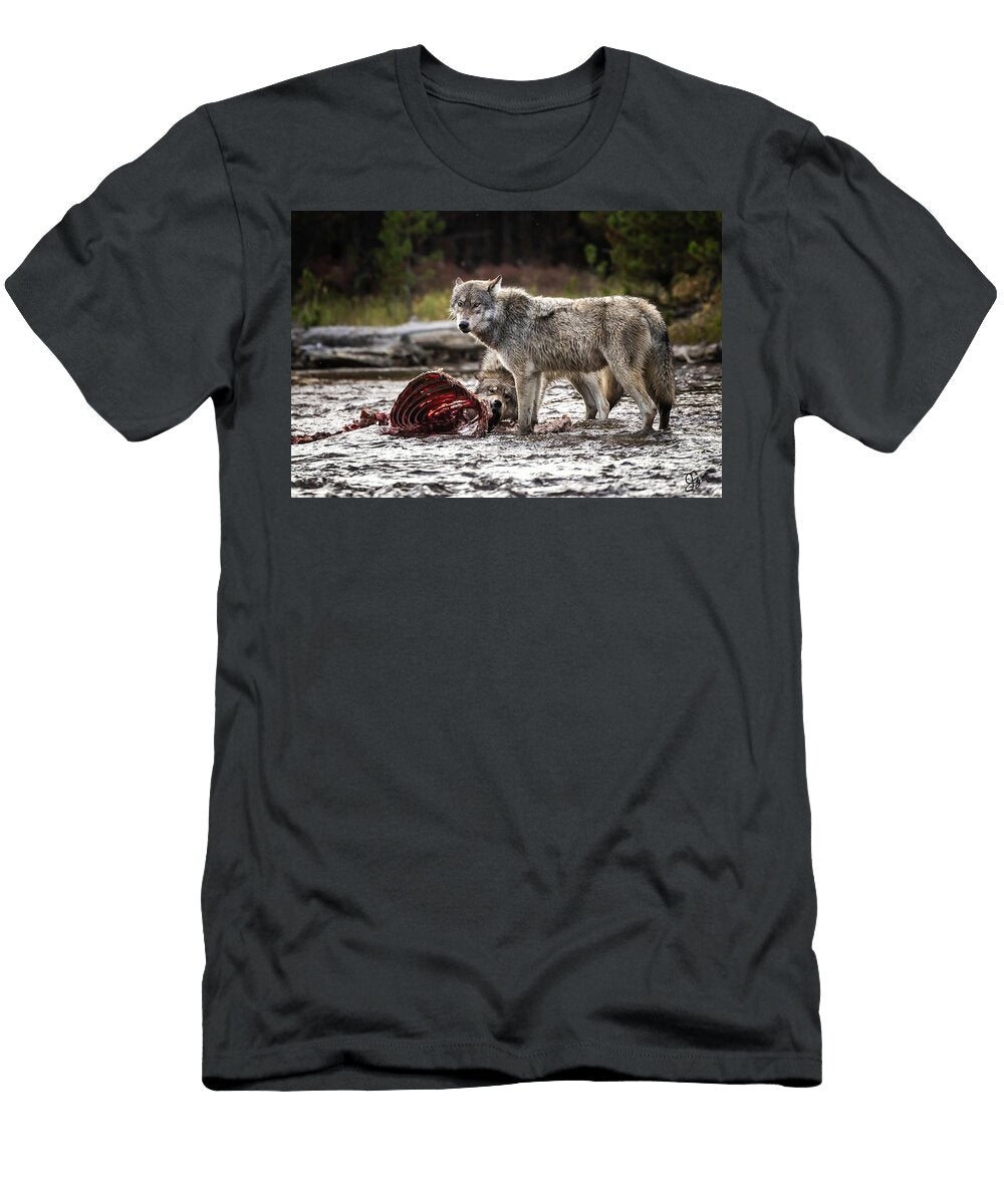 Sisters Julie Argyle T-Shirt