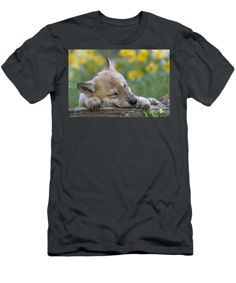Sleepy Wolf Cub Jean Louis Klein Marie Luce Hubert T-Shirt