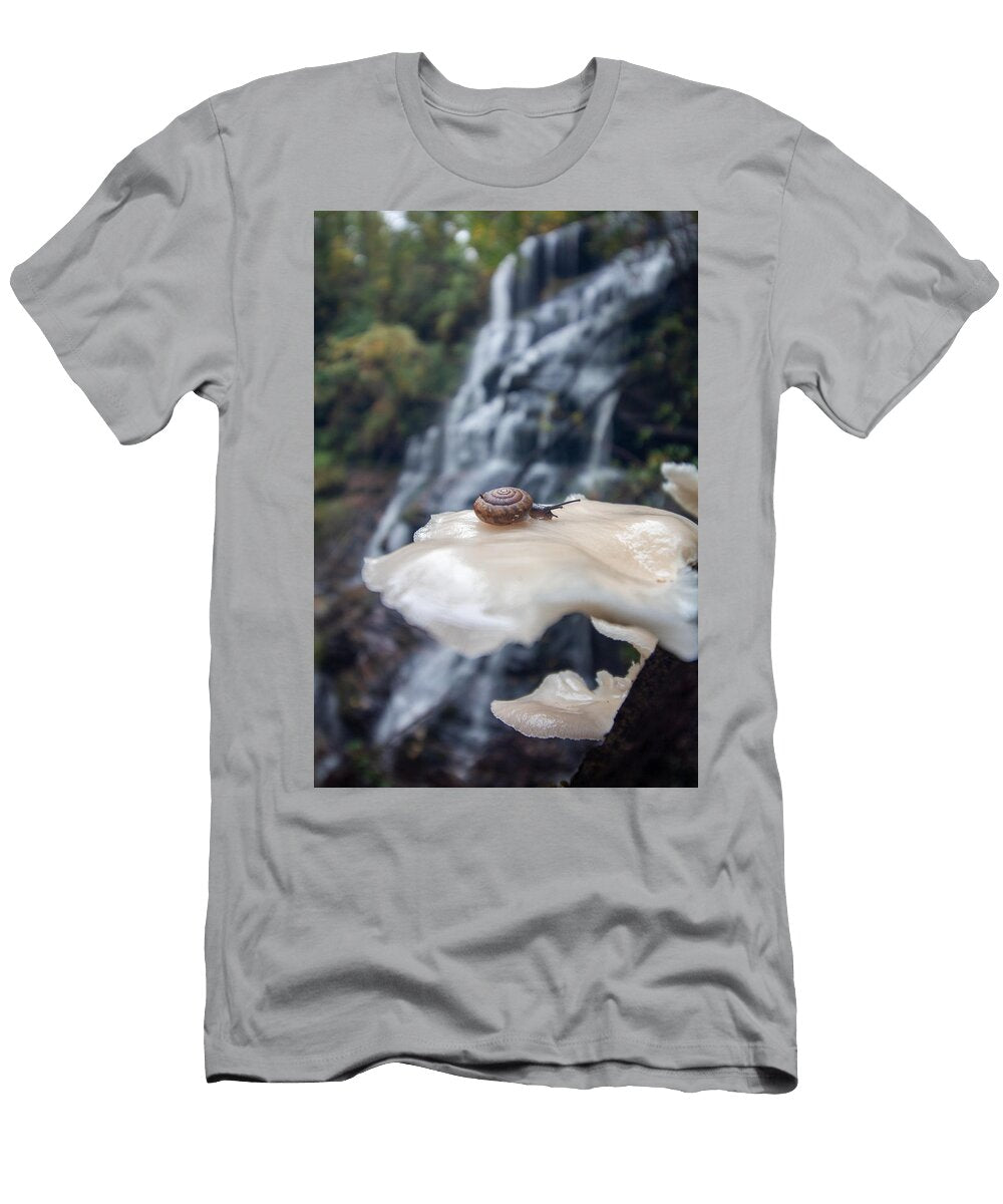 Snail in the Falls Kirby Allen T-Shirt