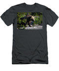 Snow Bear Julie Argyle T-Shirt