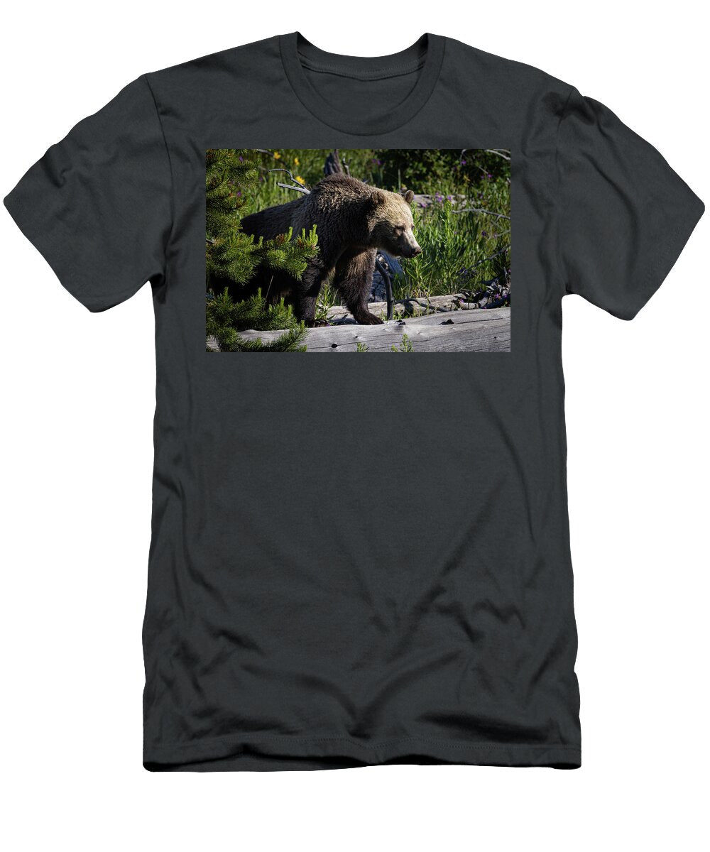 Snow Bear Julie Argyle T-Shirt