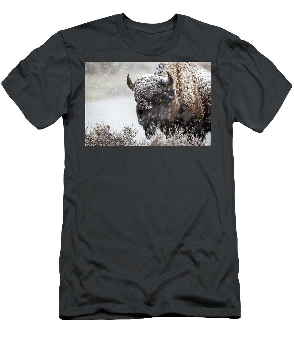 Snow Bull Julie Argyle T-Shirt
