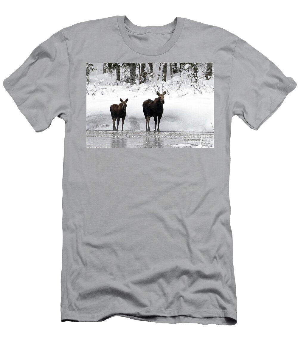 Snow Moose Julie Argyle T-Shirt