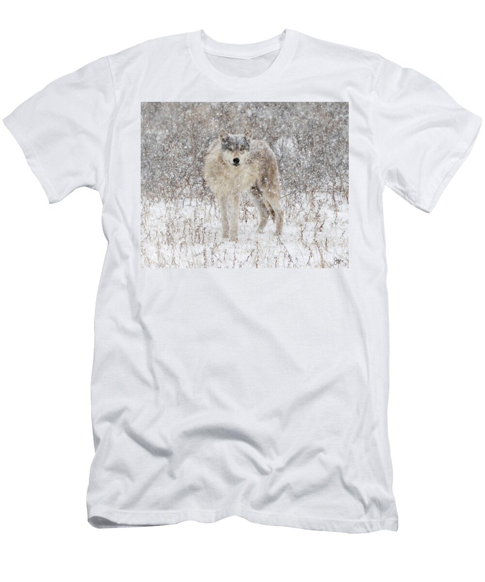 Snow Wolf Julie Argyle T-Shirt