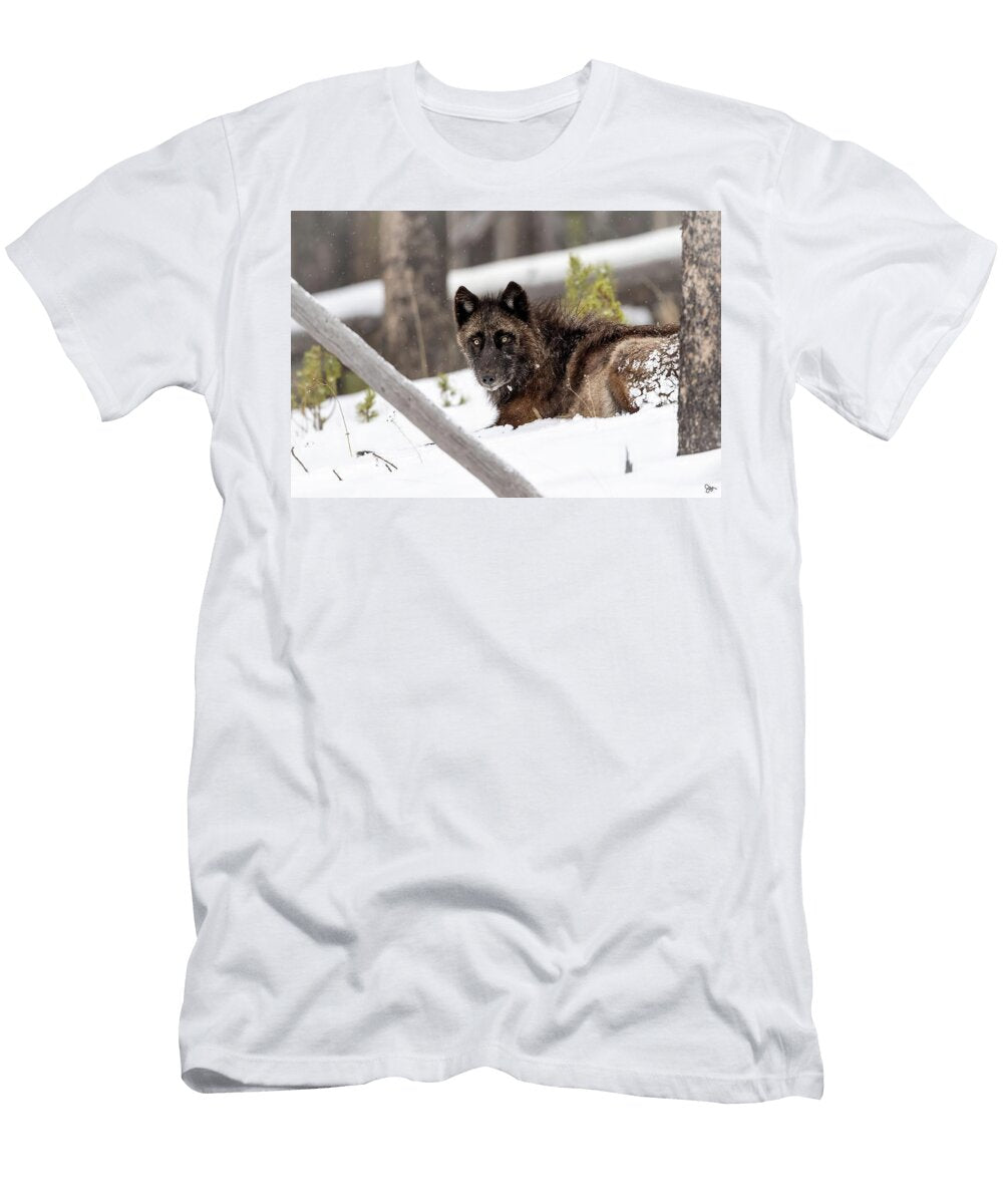 Snowed Julie Argyle T-Shirt