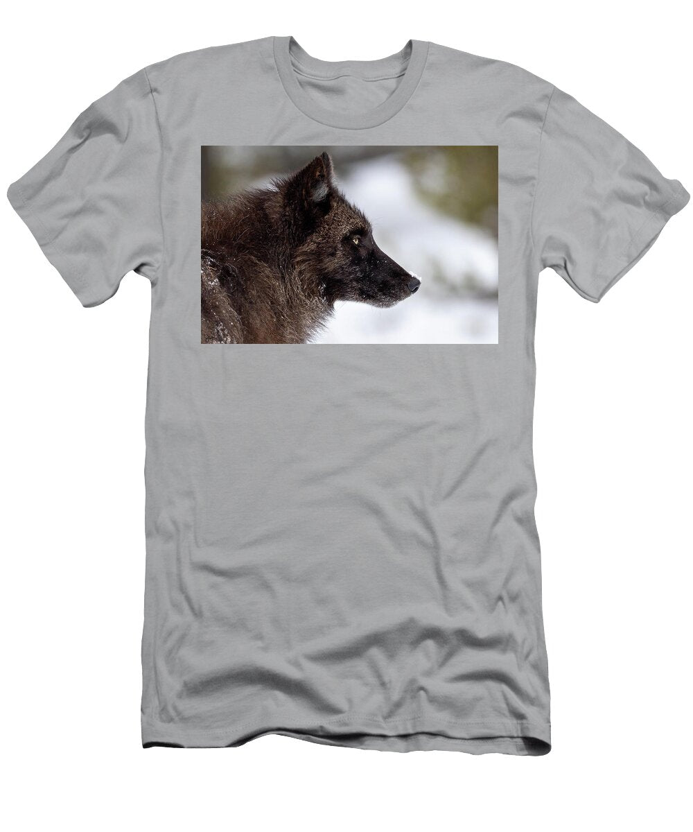 Snowflake Julie Argyle T-Shirt