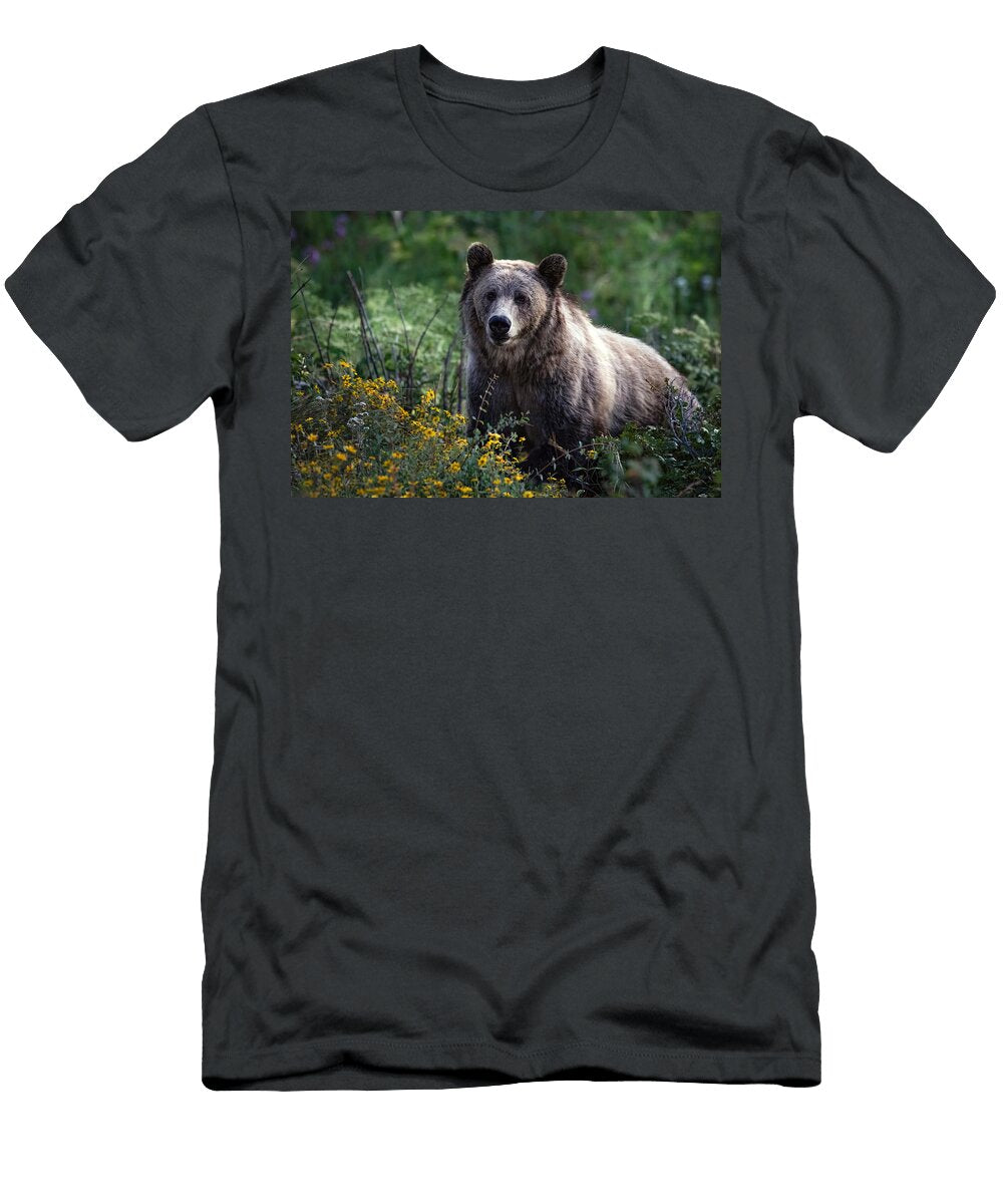 Snowflower Julie Argyle T-Shirt