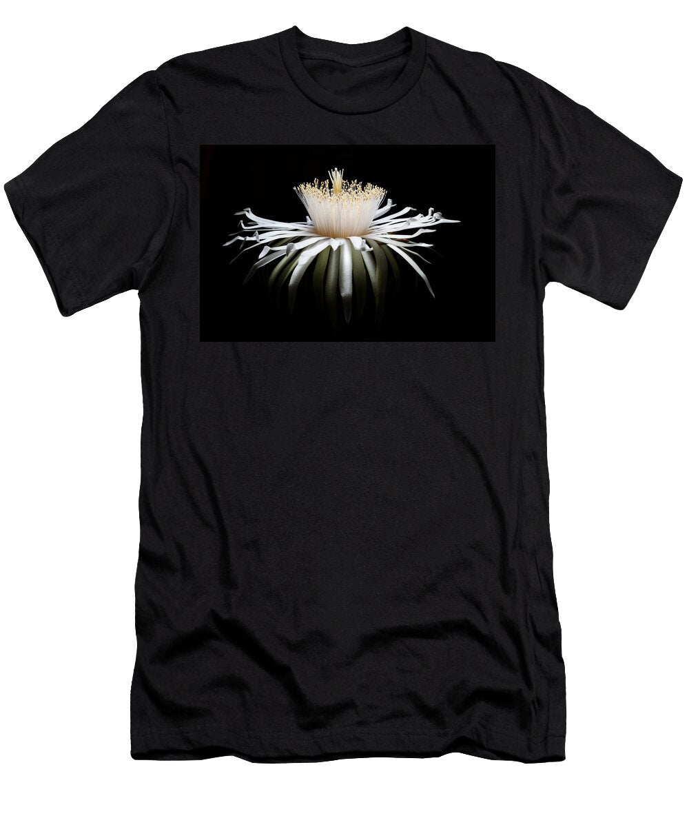 Solar Crown Bloom Mario Morales Rubi T-Shirt