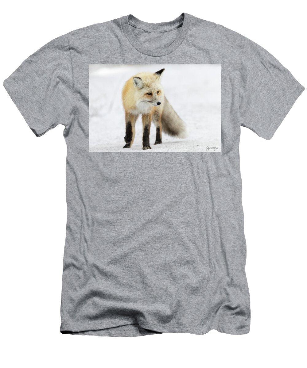 Solitary Fox Julie Argyle T-Shirt