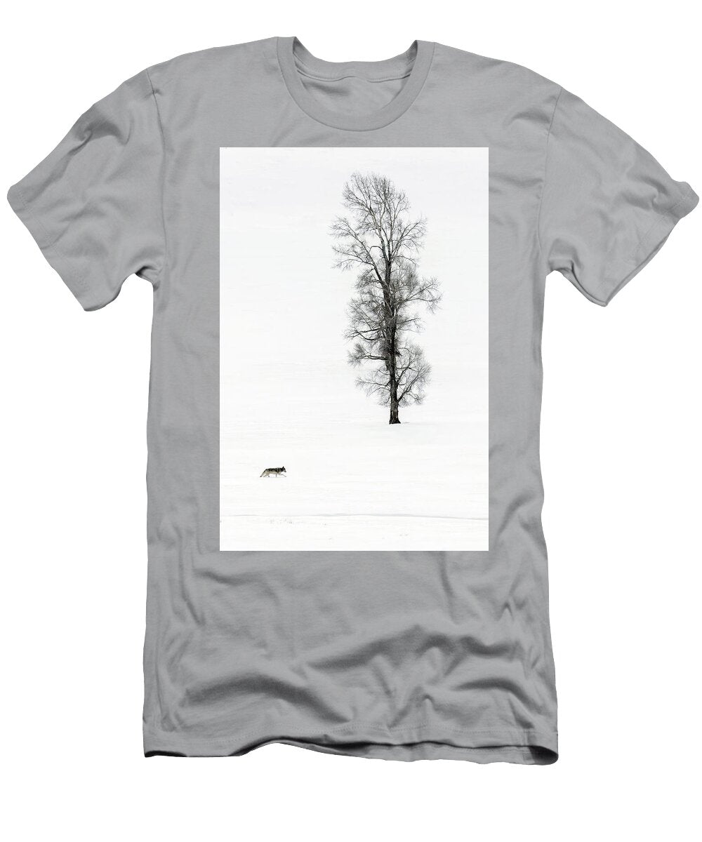 Somewhere in Lamar Julie Argyle T-Shirt