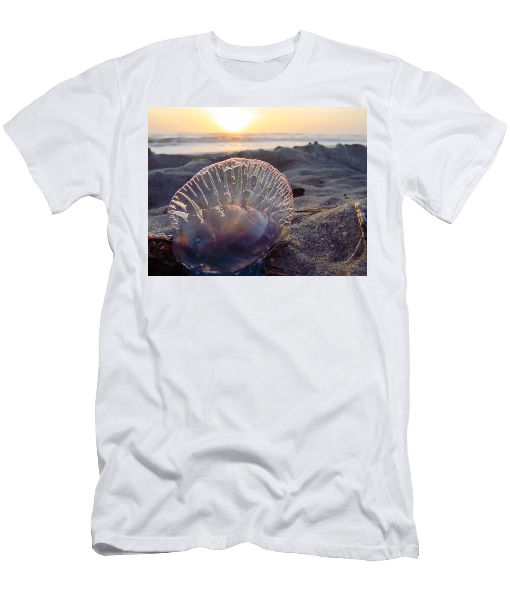 Sonic Rainbow Wanderbird Photographi T-Shirt