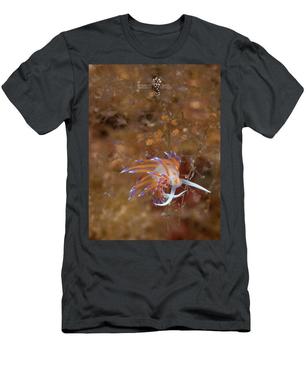 Sonic Scubamanu Cabanillas T-Shirt