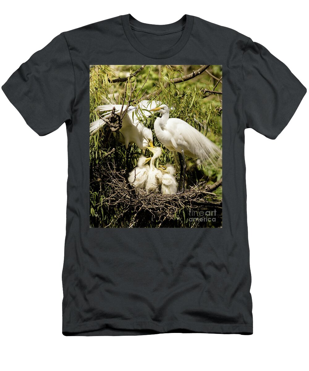 Spring Egret Chicks Robert Frederick T-Shirt