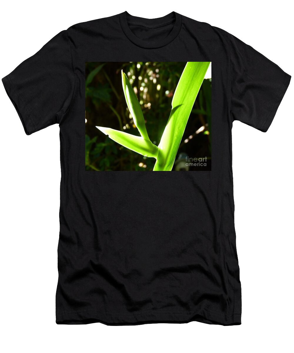 Spring Iris Cat Pancake T-Shirt