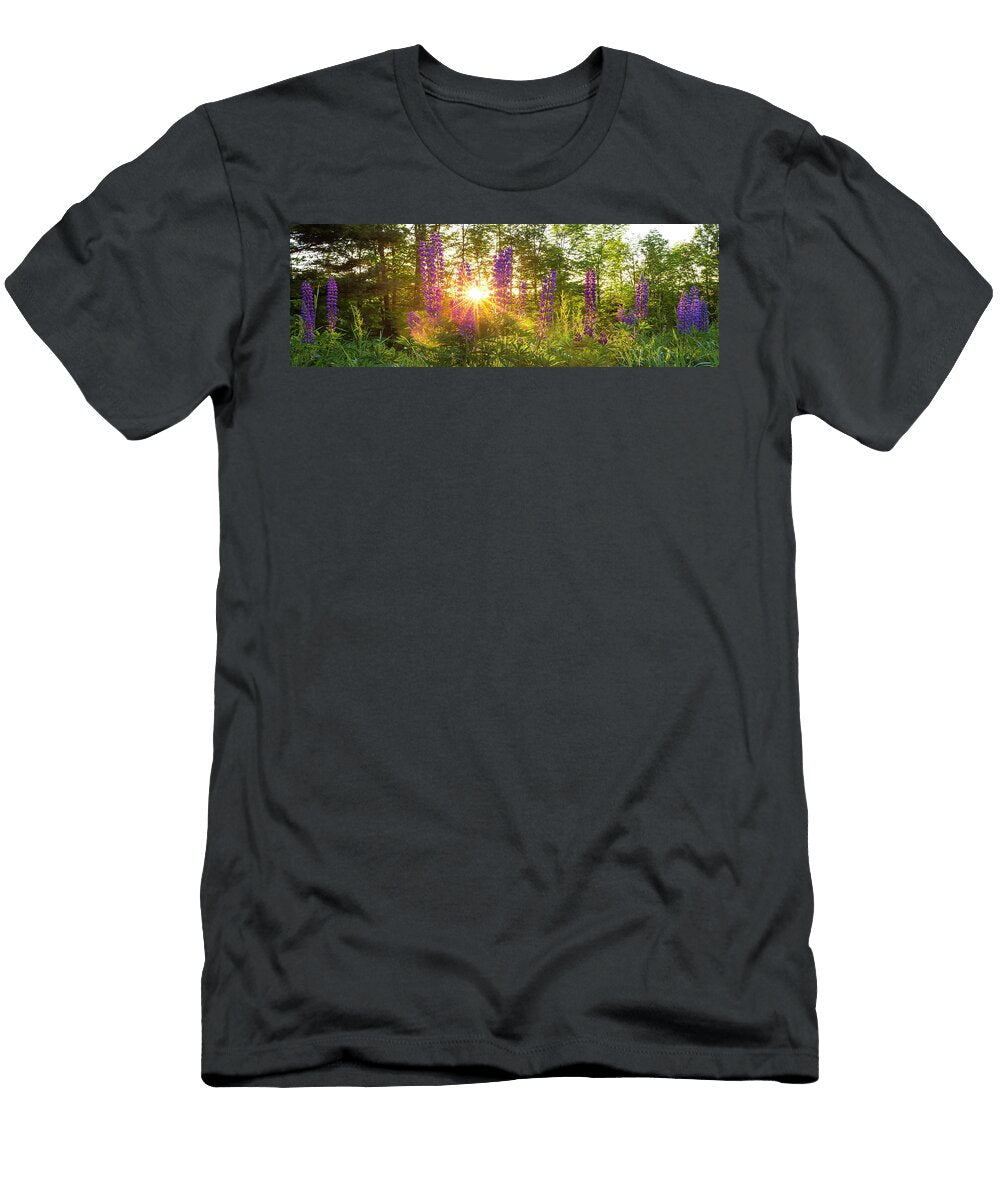 Spring Lupine Sunburst Chris Whiton T-Shirt