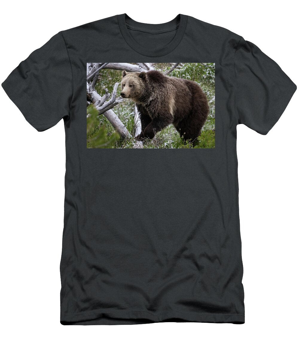 Spring Raspberry Julie Argyle T-Shirt